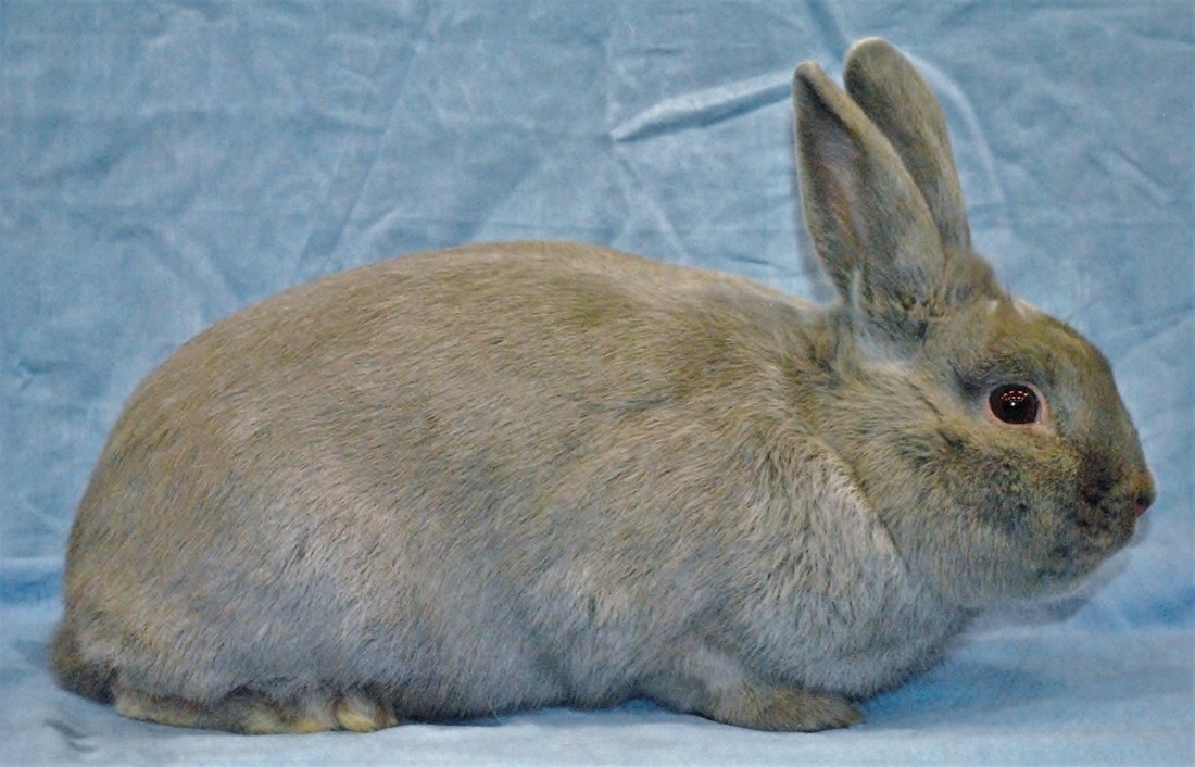 Séparator – photo E. MAYEUR