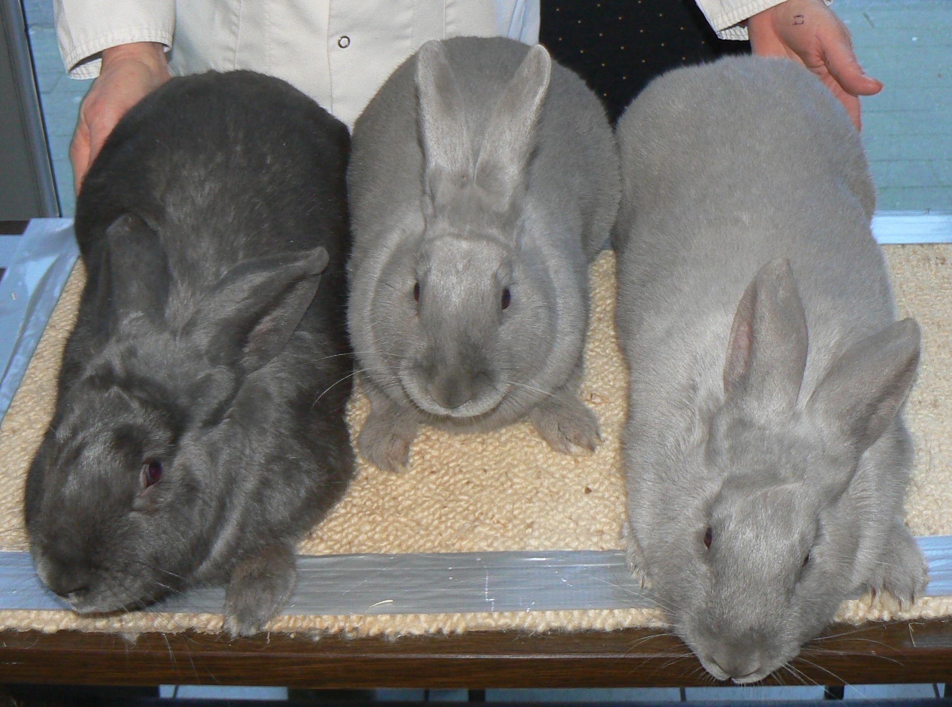 Photographie R. DERAVET