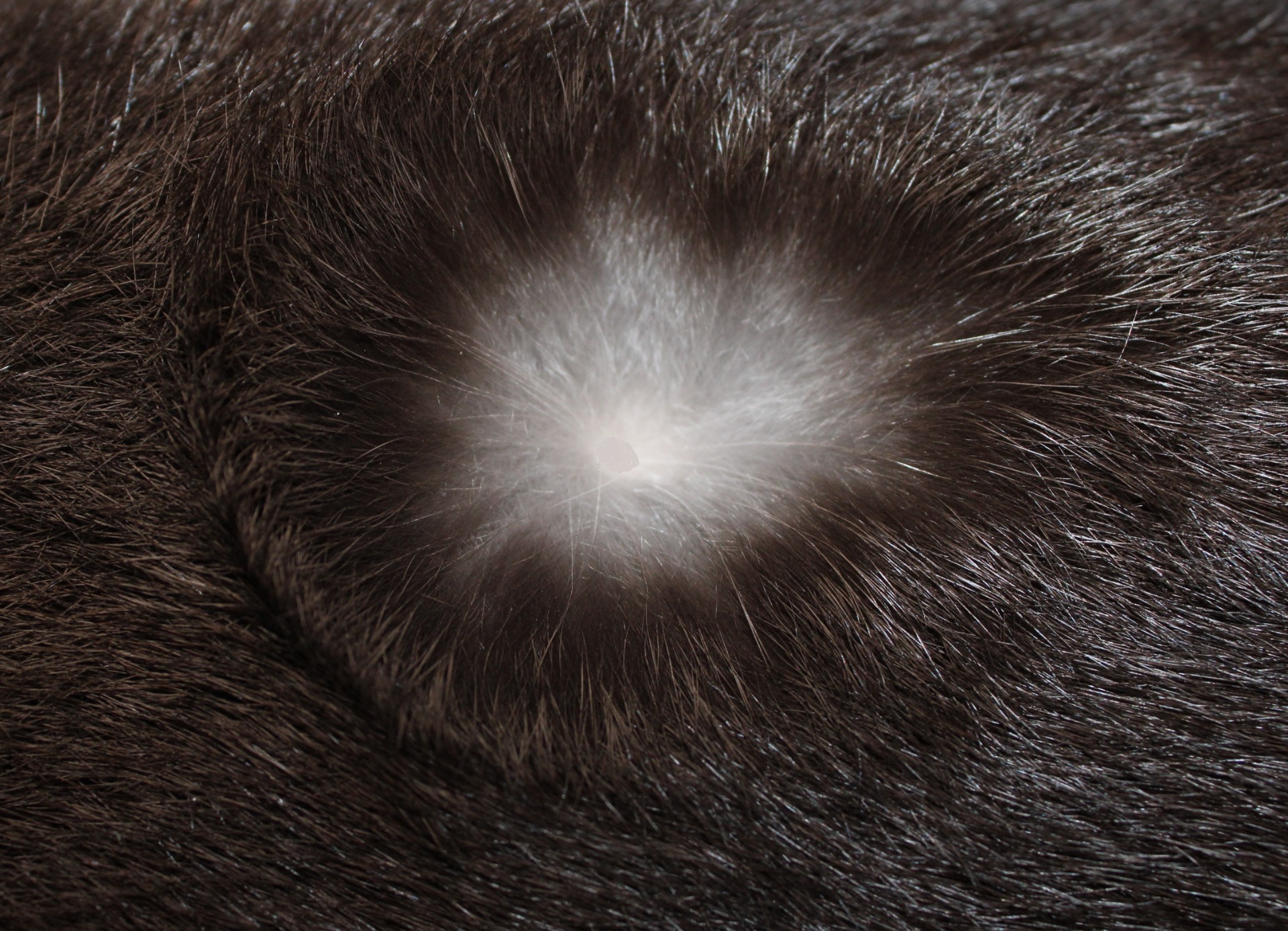 Sous-couleur - photographie Philippe GINFRAY