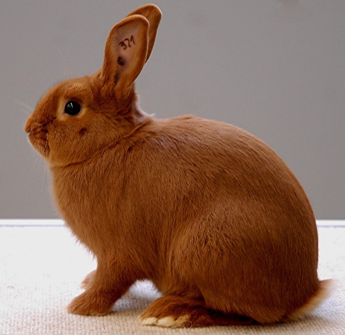 Photo : Michel GRUAZ