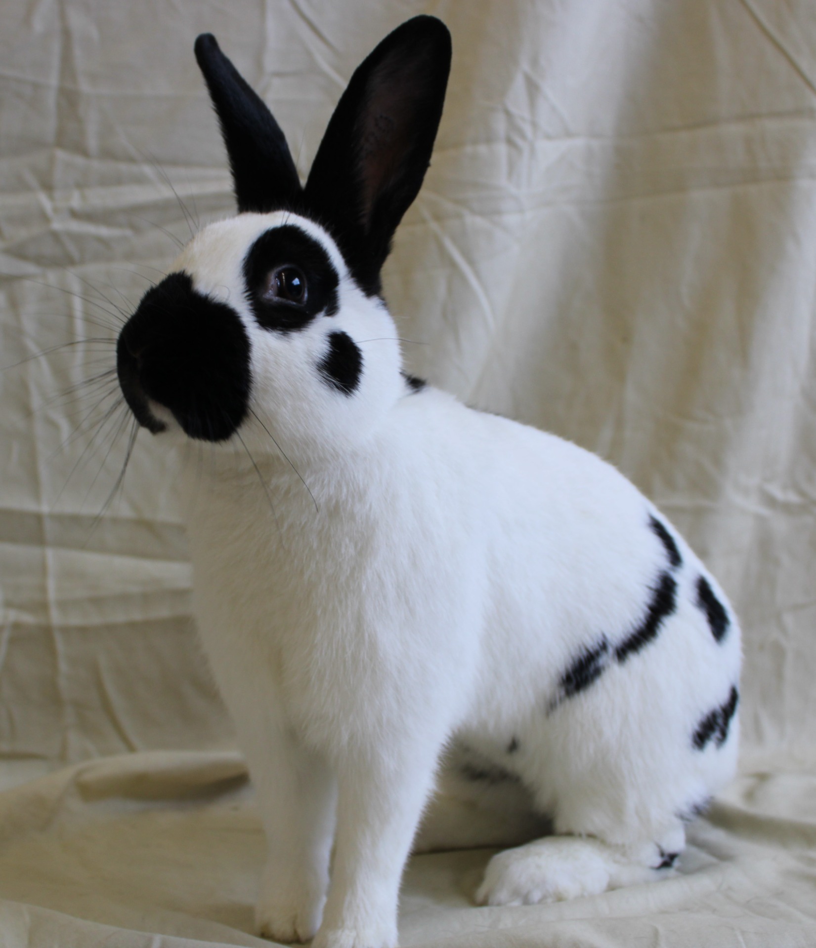 photo Philippe GINFRAY