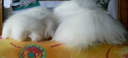 Photographie Richard DERAVET