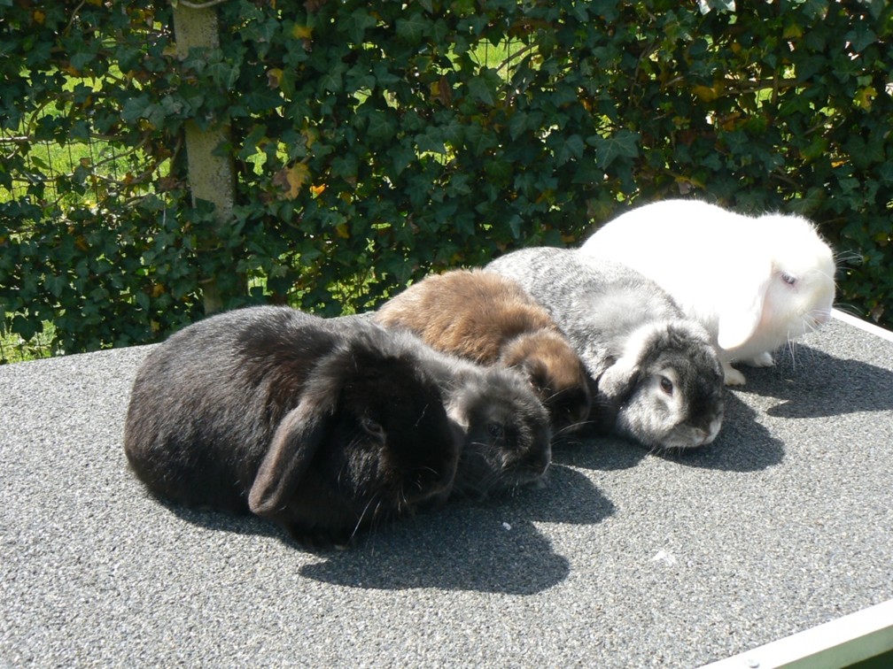 Photographie Richard DERAVET